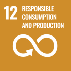 Sustainability development goal 12