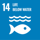 Sustainability development goal 14